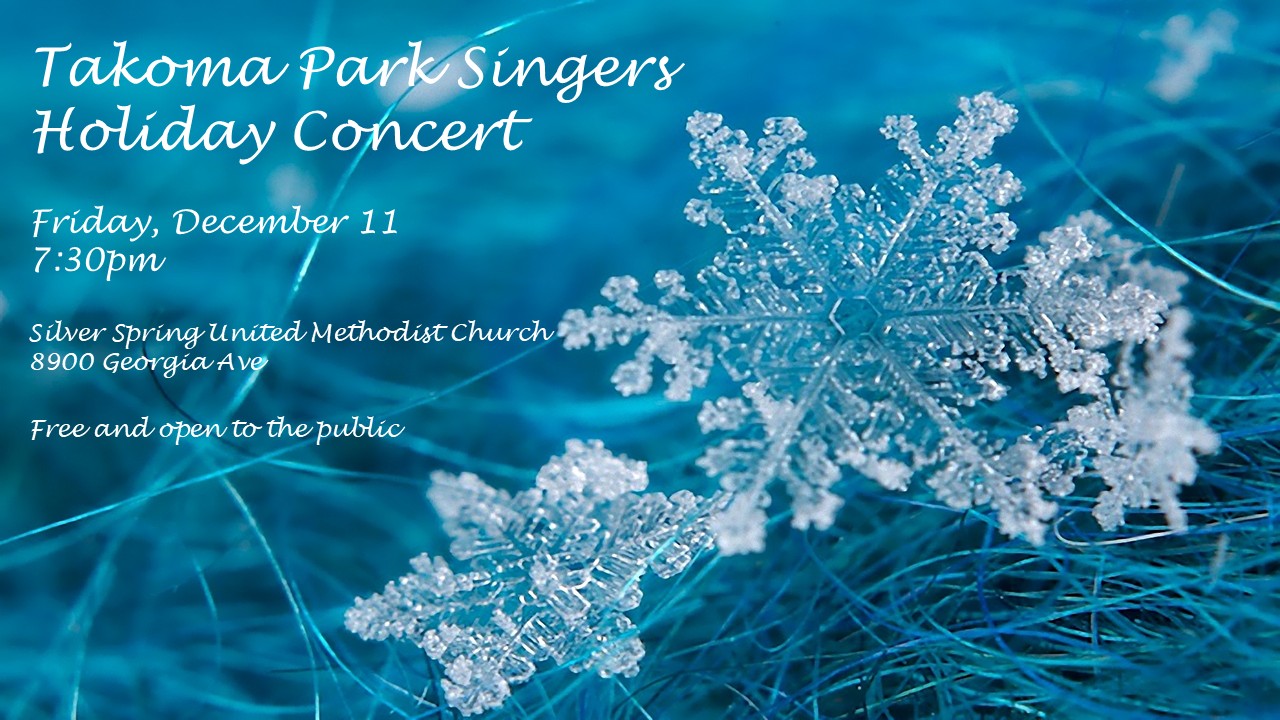 Save the Date - Winter Holiday Concert